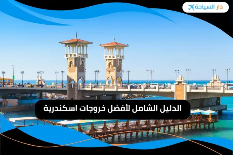 خروجات اسكندرية