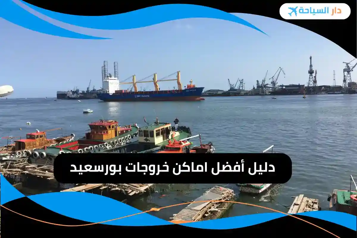 خروجات بورسعيد