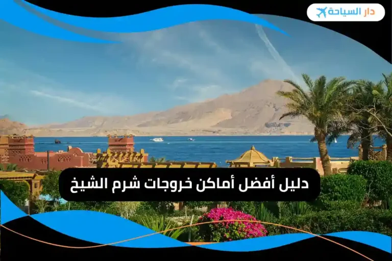 خروجات شرم الشيخ